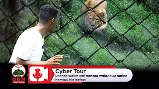Leenci kormaan nutti baroode.'Cyber Tour'   OBN Fulbaana 10, 2018