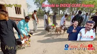 INDUS GOAT Festival show ma Johar Bhai ke Tayari 