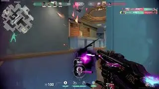 bigneo