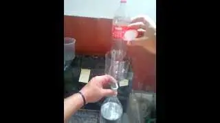 bettaclubargentina metodo de eclosion de artemia!
