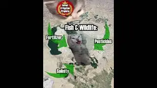 Aral Sea Disaster in Banana Cat Terms