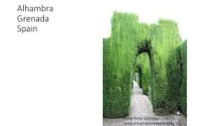 Europe&rsquo;s Flowers & Garden&rsquo;s