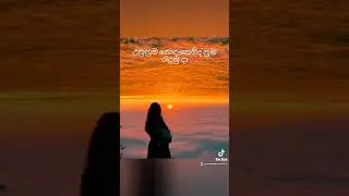 මන්දාරම් එළි .  