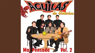 Mal Pensada