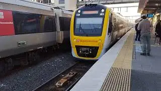 Short Strathpine