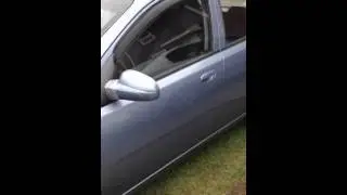 Aveo