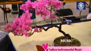 Maryland Home and Garden Show(Craft Show), Timonium, MD, US - Part 1