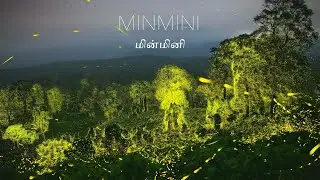 Minmini(fireflies) - Billions of synchronous fireflies at the Anamalai Tiger Reserve