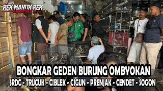 BONGKAR GEDEN BURUNG SRDC - TRUCUK - CIBLEK - CIGUN - PRENJAK - CENDET - SOGON DLL