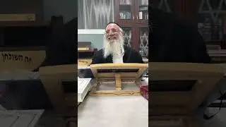 טירת שילה בשידור חי!