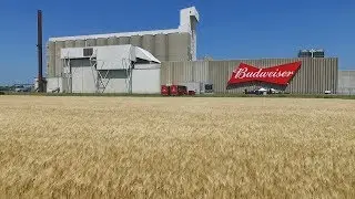 AgweekTV: Barley Growth