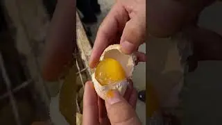 Chinese Eggs Food Exploring
