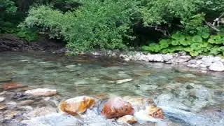 Rijeka Sutjeska