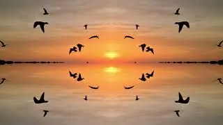 Creation of illusion...