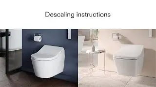 Instructions for descaling WASHLET RX and SX