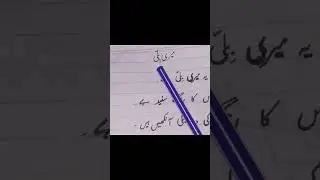 Essay on meri billi