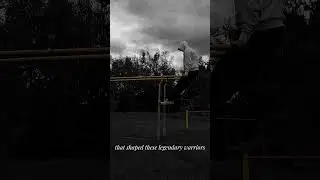 Samurai Discipline: The Art of Control in 10 Principles Full video on the channel #motivation