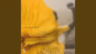 Ter&agrave;pia no1 - Estrats Carabasses