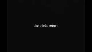 dvsavv - the birds return 