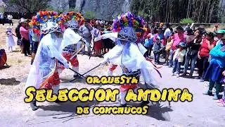 ARPA WANKA DE SUCCHA NELSON PRODUCCIONES CEL: 934576258 / 943782005