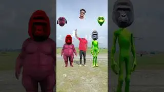 tu kon he Tera name song ret fed dog to green alien vs me correct head matiching #viral