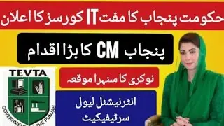 CM Punjab Free IT Courses 2026 - Hunarmand Program IT Training With International Certification