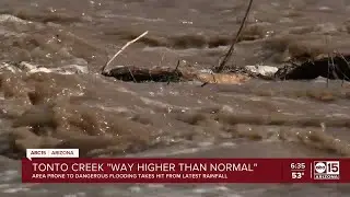 Tonto Creek flooding is 'way higher than normal'