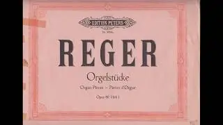 Max Reger - Canzonetta, organ St. John's Cathedral -s-Hertogenbosch