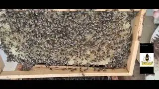 بناء طبيعي حر آخر الخريف .