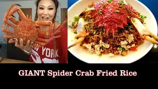 Giant SPIDER CRAB not Catch but Cook Pookie Style with Thai Fried Rice