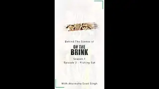 Behind the Scenes with the Series Director of On The Brink
