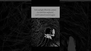 Soft sunlight filled the... #englishshorts #quotes #animeart #reality #lifequotes