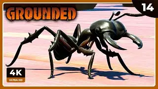 GROUNDED #14 | LAS HORMIGAS NEGRAS | GROUNDED Gameplay Español