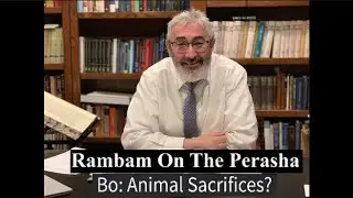 Perashat Bo: Animal Sacrifices?