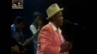 Willie Dixon   Blues Band  ''Live''