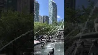 Toronto&rsquo;s Famous Dog Fountain ⛲️🐩🐕🐶🦮🐕&zwj;🦺⛲️