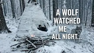 🌲Alone in the Winter Forest… I Thought | Bushcraft