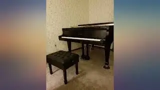 Genuine Leather Adjustable Deluxe Pillow Top Artist Concert Piano Bench Stool in review