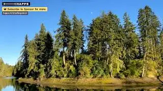 Jarrell Cove State Park - Summer Solstice