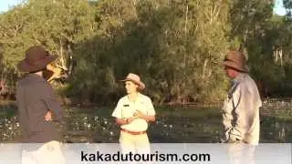 Yellow Waters Accommodation at Cooinda