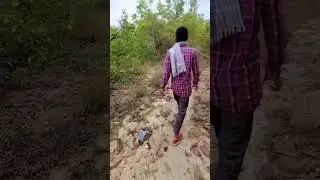 #forestwalk #palamau  #tigerreserve #latehar_news #jharkhand #wildlife #nature #forestride