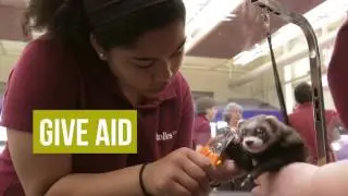 Animal Management & Services at Tolles