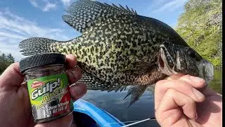 Catching BIG BLUEGILLS and CRAPPIE on GULP Minnows!! (Kayak Fishing)