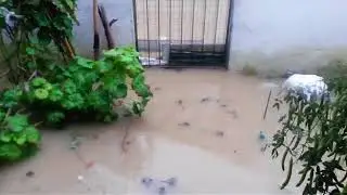 Yeni fo&ccedil;a gencelli AFAT.
