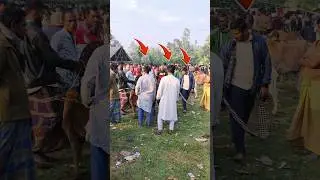 😭Watch Malda's bad behavior🙆😜 #indiashorts #newzealand #Unitedstatus #pakistan #funny #brasil।