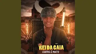 Cabelo Molhado