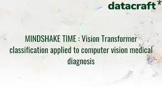 MINDSHAKE TIME  -  Vision Transformer Classification Applied To Computer Vision Medical Diagnosis