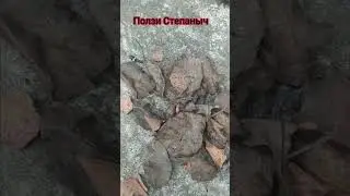 #уж Стпаныч