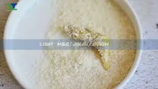 How to make Granule bread crumb ? Extruded bread crumb machine processing line
