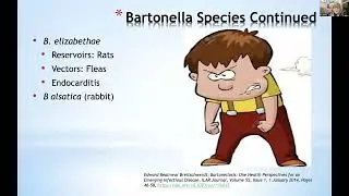 Lyme Disease & Children: The Latest Advancements in Diagnosing, Testing and Treating